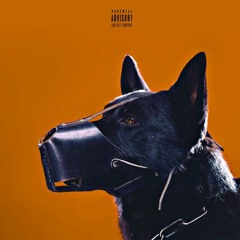 SUSHI FT LUX JOHNNY X BUGGY