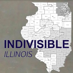 Annie Williams of Indivisble Illinois Talks HB-40 on The Ben Joravsky Show 8.30.17