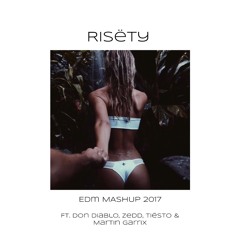 Don Diablo, Zedd, Tiësto & Martin Garrix - EDM Mix 2017 Chill (Risëty)