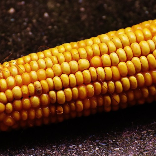 YATP Ep. 006: What I've Learned in Exploring Linux