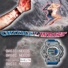 CRITICAL WRIST