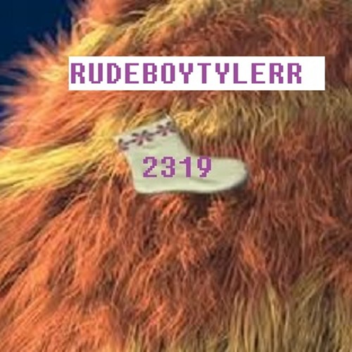 Rudeboytylerr x 23nineteen