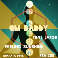 Feeling Sunshine ~ Tony Largo's Reprise(Sample) ~ Mix 2 of 3