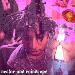 Lil Soda Boi x Kay P - Nectar & Raindrops