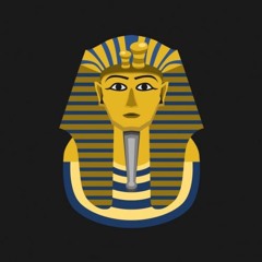 Egyptian Kotton (RAw Anal MX) BoXAVoX