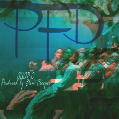 P.F.D (Prod. By Slim Creeper)