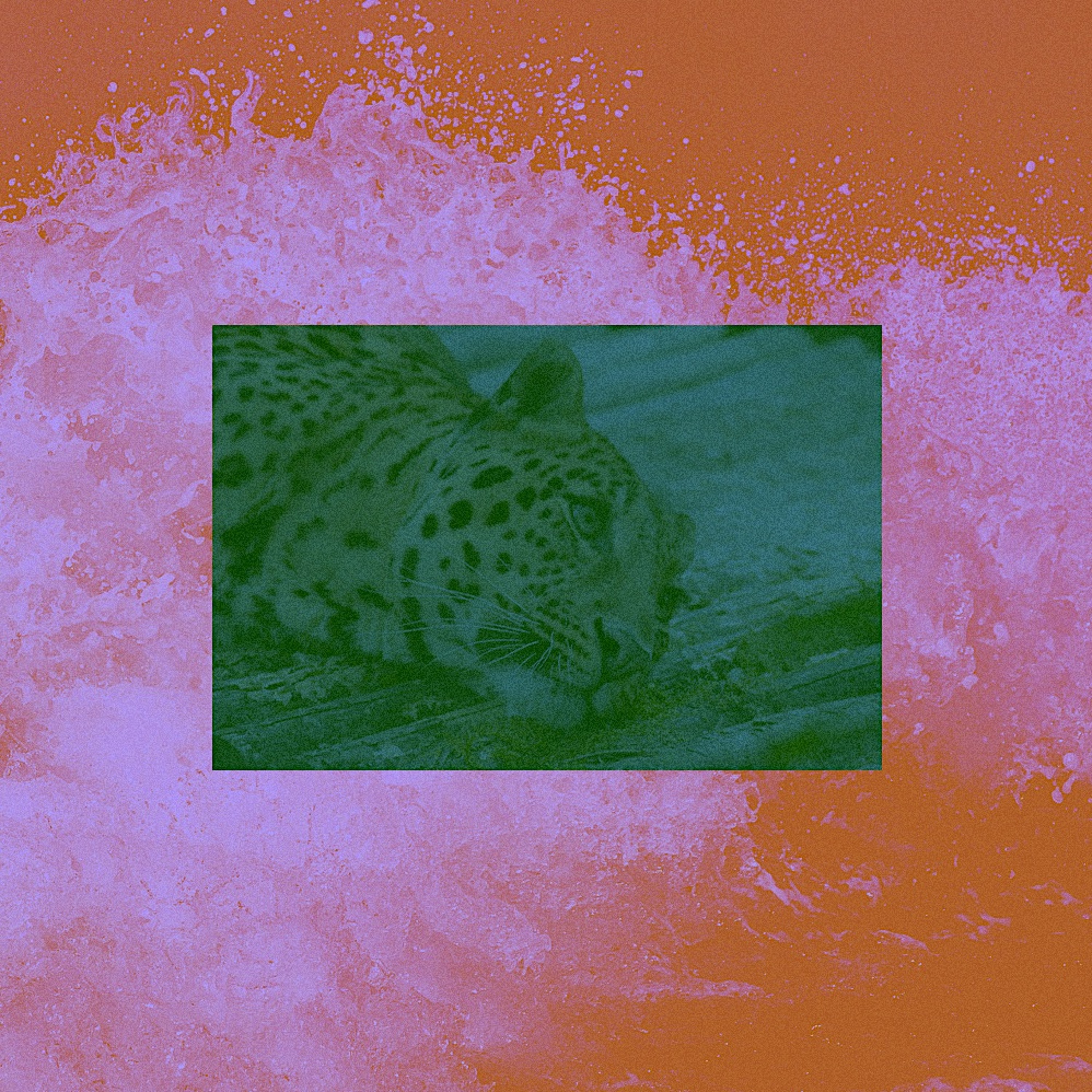 REMESA