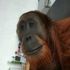 1/2OFABRAIN feat. SPOOFTEARS