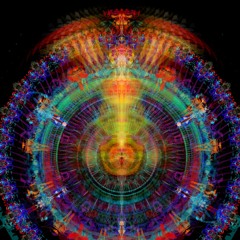 Digital kolibri (117) v2