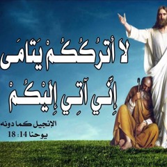 فريق المس ايدينا  ترنيمة نورى يا كنيسة المسيح  Elmes Edena Band