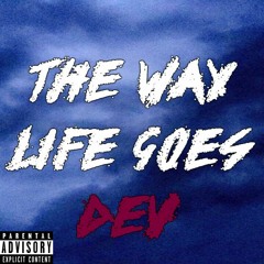 The Way Life Goes (DEVmix)