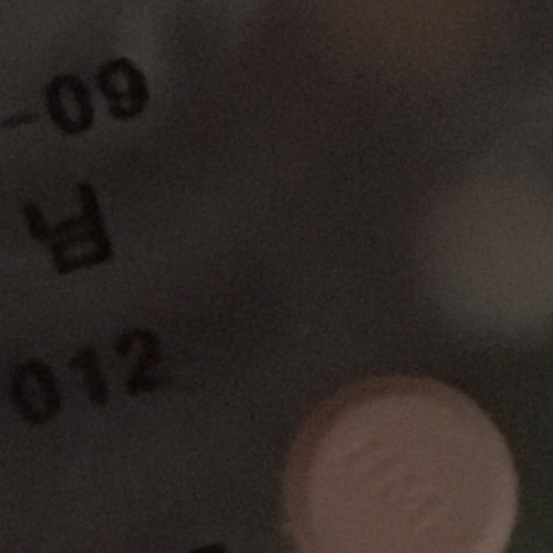 우리의마음과관계는깔끔하지못한상태로끊어졌고사고와고독의끝에서그둘은웃으며목을잘랐다