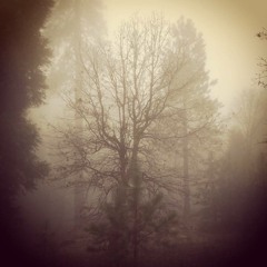 Selfish (Guitar Demo)