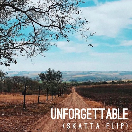 unforgettable (skatta flip)