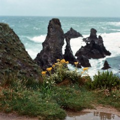 the  Mainstream: "Erwtert"