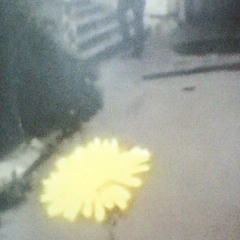 (The Mainstream) Red White