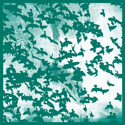 A1 | Volte-Face - Murmuration
