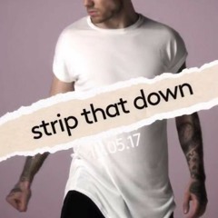 Liam Payne - Strip That Down (Howie X Michéal Hagan Bootleg)