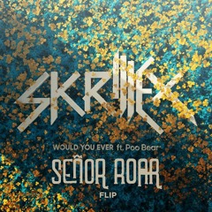 Skrillex - Would You Ever (Senor Roar Flip)ft Poo Bear