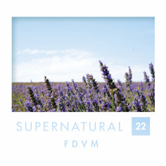 Supernatural 22 by FDVM