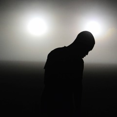 Evolution - See You Again Ft. Honest