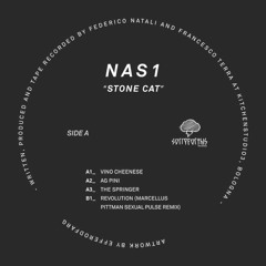 First Listen: Nas1 - 'The Springer' (SorryForThis Records)