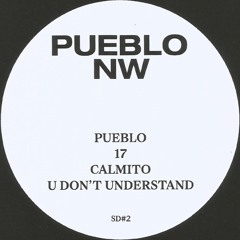 SD #2 - NW - Pueblo — Snippets