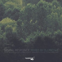 Dj Prowe - Digital Responce
