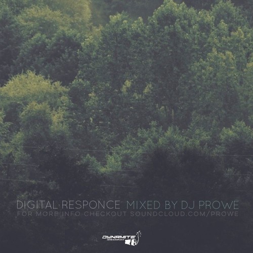 Dj Prowe - Digital Responce