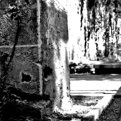 Live-Mix August 2017 (cut)