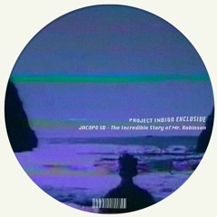 jacopo sb - the incredible story of mr. robinson