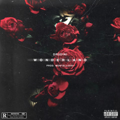 Wonderland (Prod. Montell2099)
