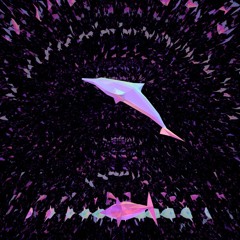 ５０ にじ イルカ
