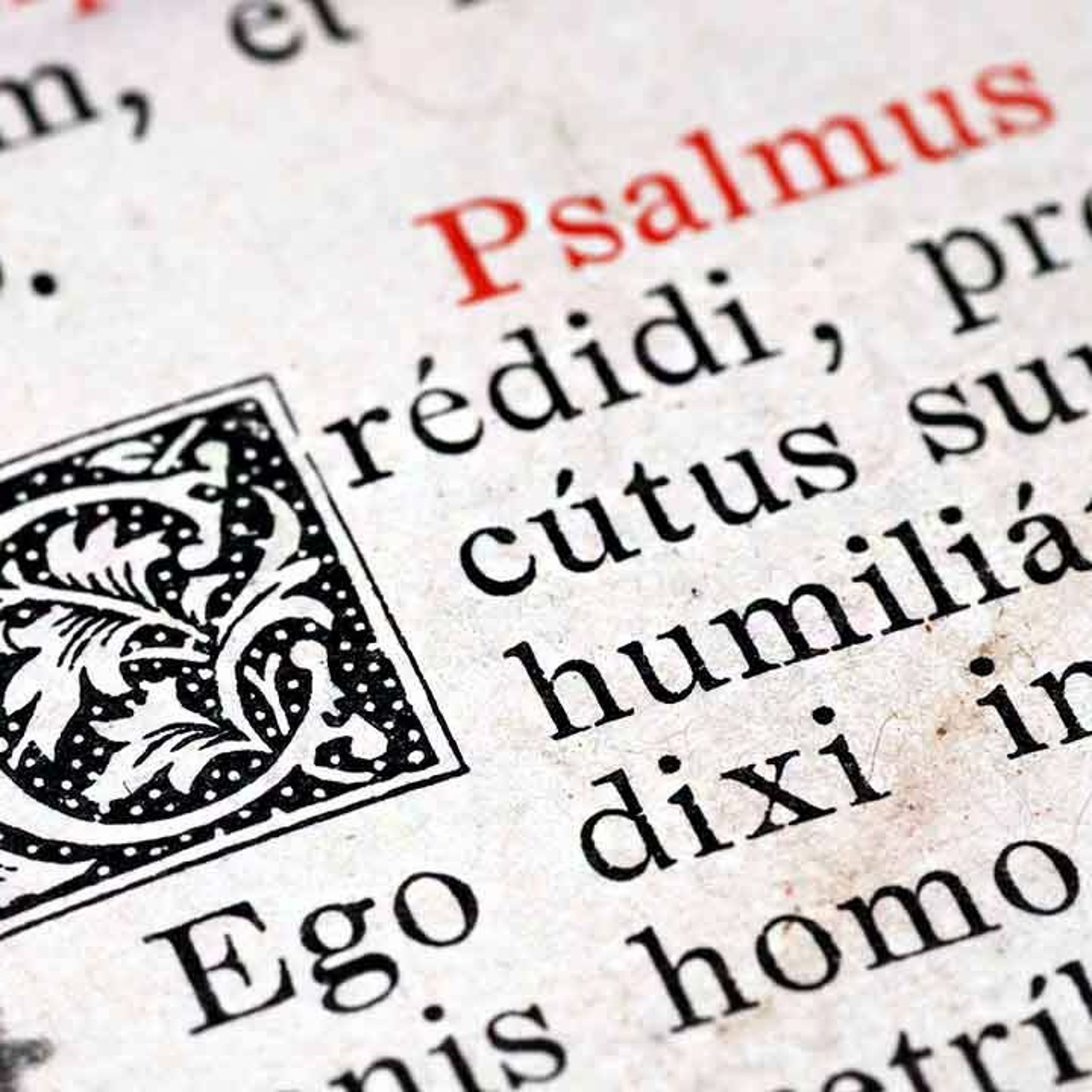 A Resposta Católica