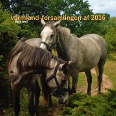Värmland-forsamlingen af 2016 - Lovefool