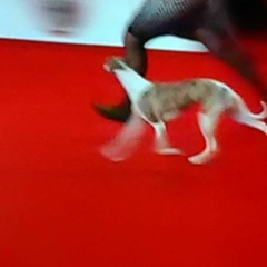 BLOOD-GARAGE ft. DR. AVALON