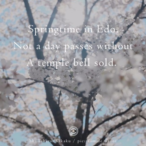 Not A Day Passes (naviarhaiku191)
