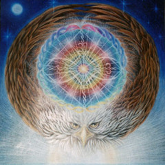 AYAM - Aguila Florida