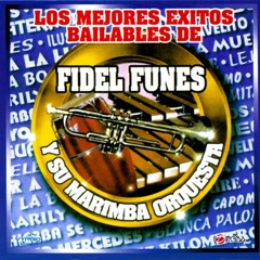 Fidel Funes Y Su Marimba Orquesta Mix Ilusiones REMIX @vinicioguerra