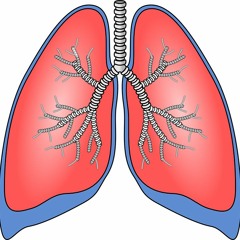 FOSA YG - VOOR ME LONGEN