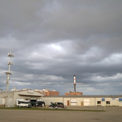 Waveform TR707, TR606, SH101, JUNO6, SP303, ARP SOLINA