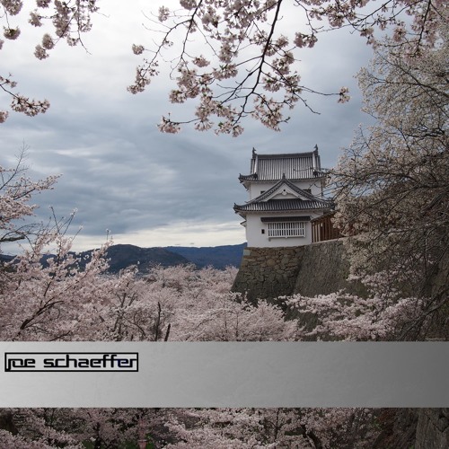 Joe Schaeffer Podcast 004