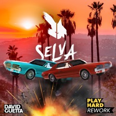 David Guetta - Play Hard (SELVA rework)