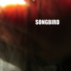 Songbird (Cover - Oasis)