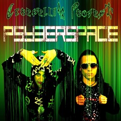PsyberSpace - Cerebellum Projekt