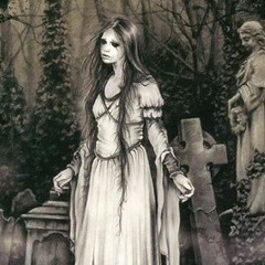 P.A.L .I . D . E . Z - TERRA