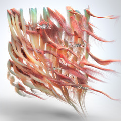 Shelf Nunny - Good 2CU (feat. Noosa)