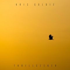 Kris Goldie - Thrillseeker