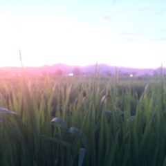 Chillmatic (Estrada Remake)