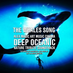 ❤ THE WHALES SONG ❤